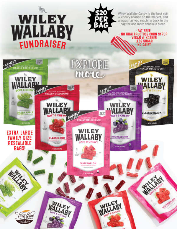 Wiley Wallaby Licorice Flyer